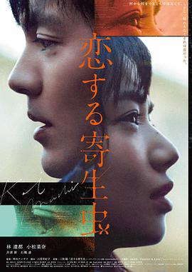 第七号信号